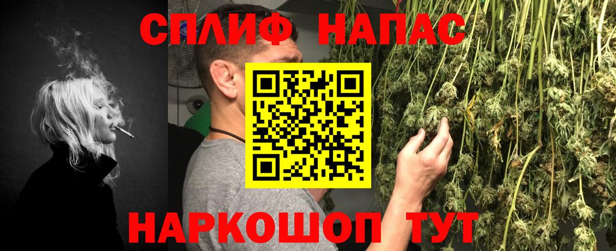 Бошки Шишки гибрид  Канабис Bruce Banner  Краснодар  МАРИХУАНА планчик  Вход с VPN  Каннабис план 